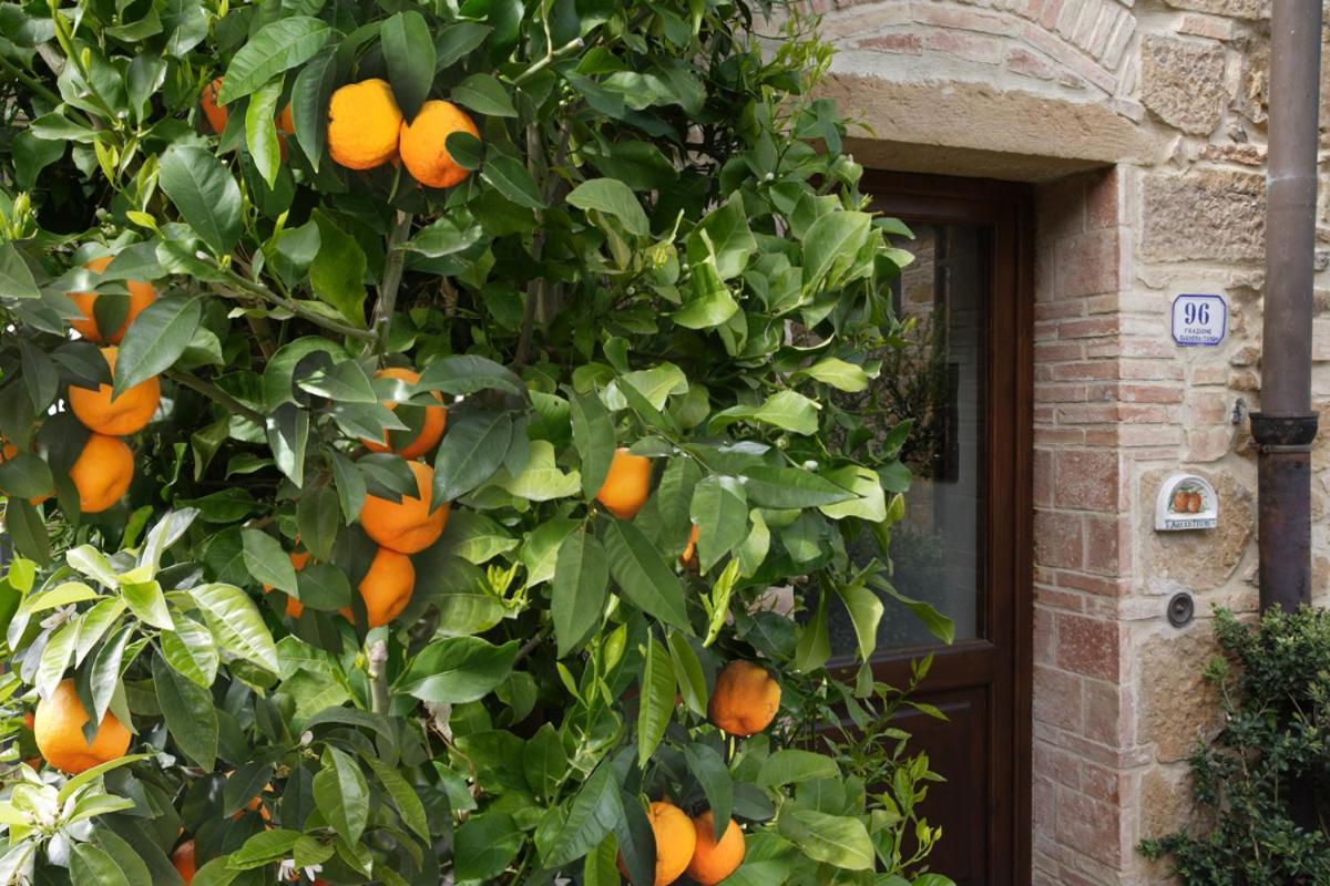 Il Lebbio Agriresort *