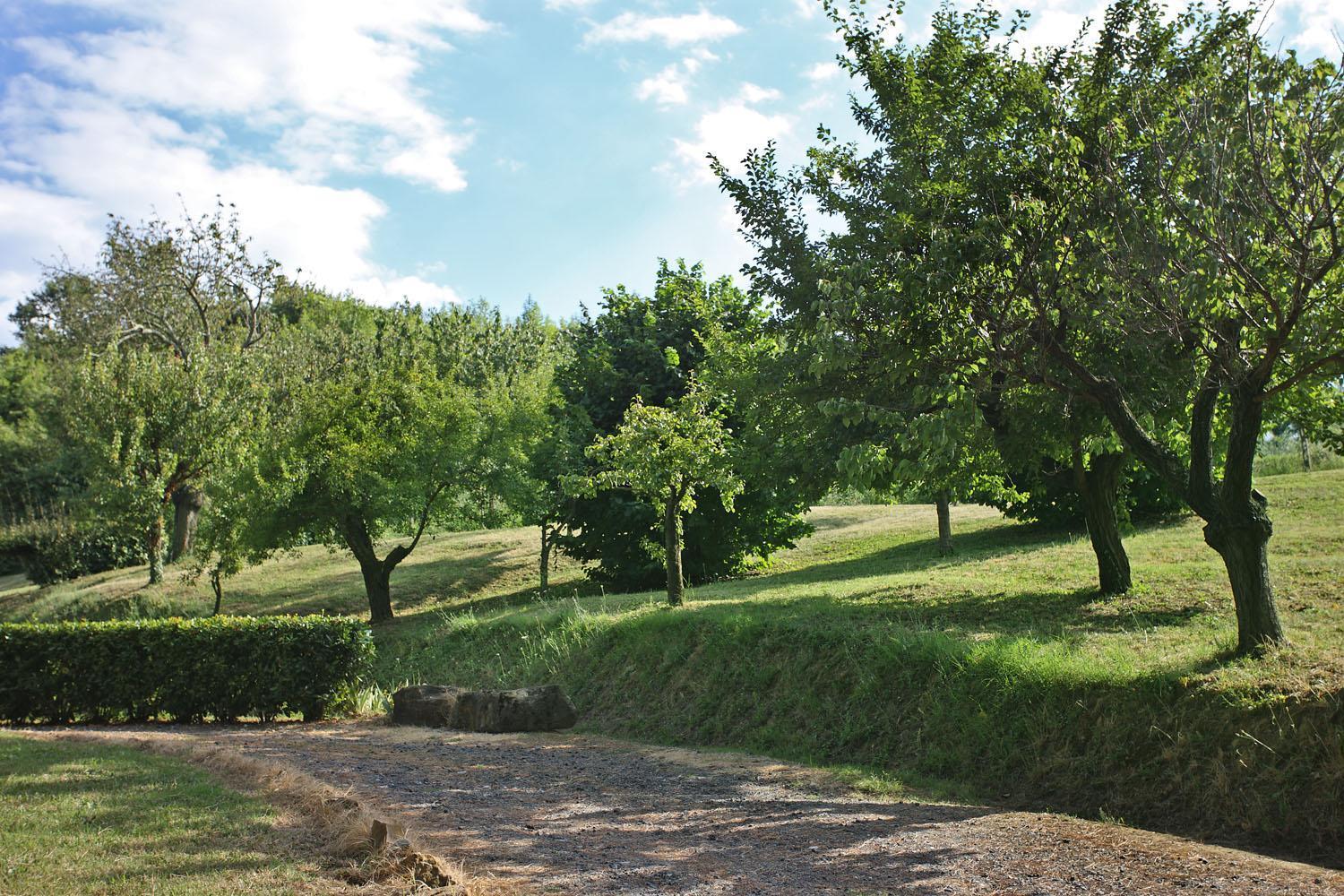Apartment Il Lebbio Agriresort *